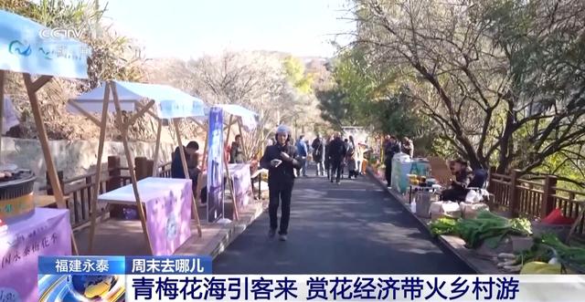 嗅梅香、赏梅韵 “梅”好时光激活周末经济