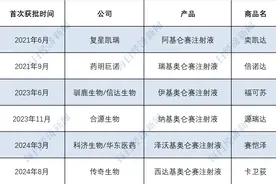 2024年国家医保谈判 | CAR-T疗法企业能来的都来了，这次能“上桌”吗？图片