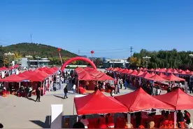 800名学生达成就业意向！“选择济南 共赢未来”2024年驻济高校毕业生就业双选会举办图片
