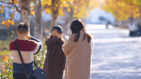 江西的这些“赏桐”胜地，治愈又出片！