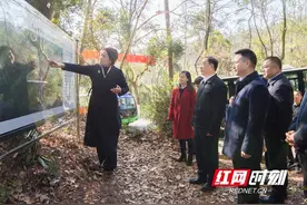 谭勇赴岳麓山风景名胜区检查安全生产工作图片