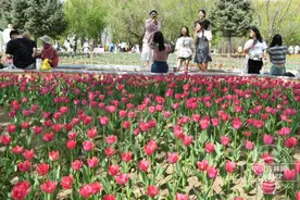 长春公园举办“花开长春‘郁’见你”系列主题文化活动图片