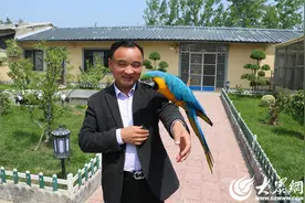 微山县张楼镇聚焦鹦鹉特禽养殖 助推乡村振兴图片