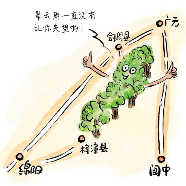 四川安逸入画｜翠云廊