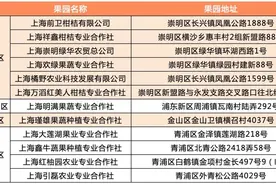 柑橘进公园推介活动将持续到12月1日，柑橘果园名单请查收图片