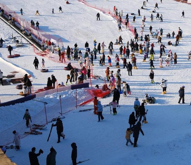 接待游客超7万人次！杨家山里“冰雪热”点亮春节文旅“新引擎”