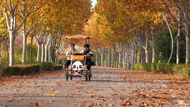 谁说初冬只有萧瑟？来太白湖新区解锁绚烂生机打卡地