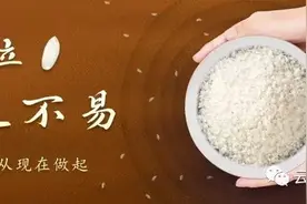 招标中！毕节这些高速将扩容图片