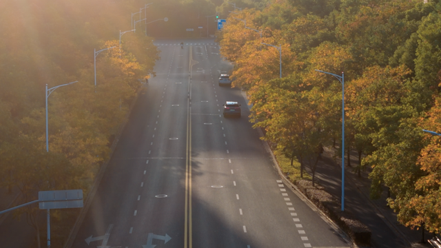 别眨眼！罗店马路秋色，一街一帧画正在限时上映