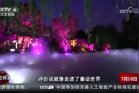 国风体验、非遗展演、博物馆游……“传统文化热”带动暑期“文博热”图片