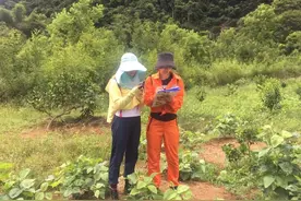 山东省煤田地质局 “三八女子生态修复突击队”：巾帼不让须眉，柔肩亦担重任图片