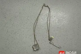 6岁萌娃拾金不昧！捡到项链主动交给警察阿姨图片