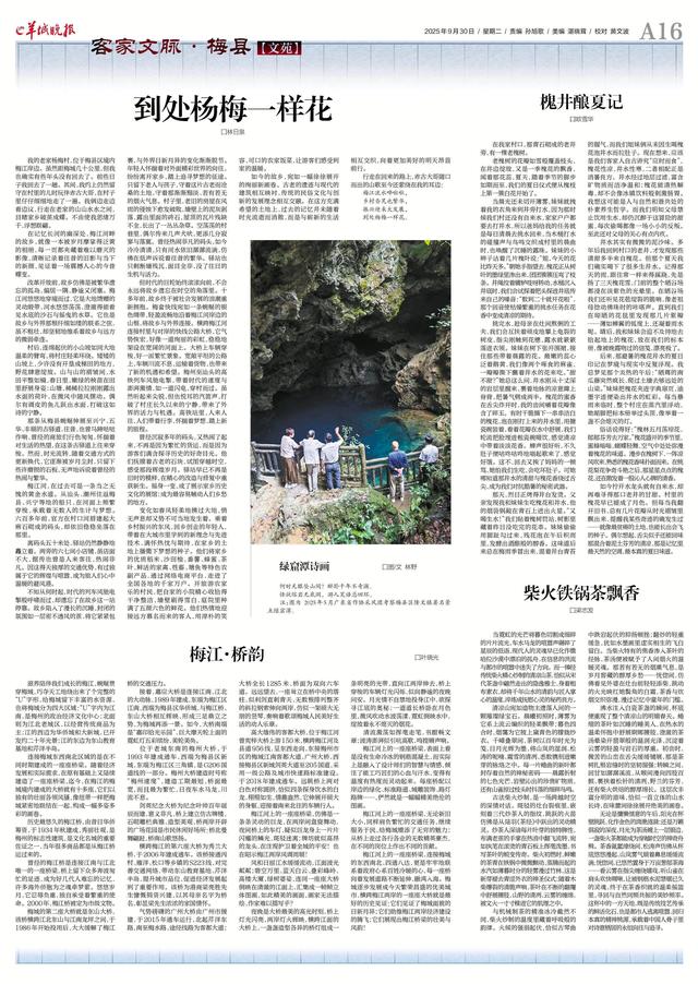 最新一期邀您共赏