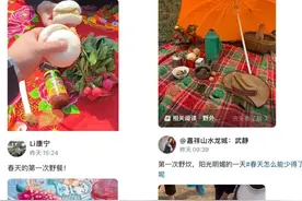 山东人晒“今年第一次野炊”！大葱蘸酱、钙奶饼干……评论区太搞笑图片