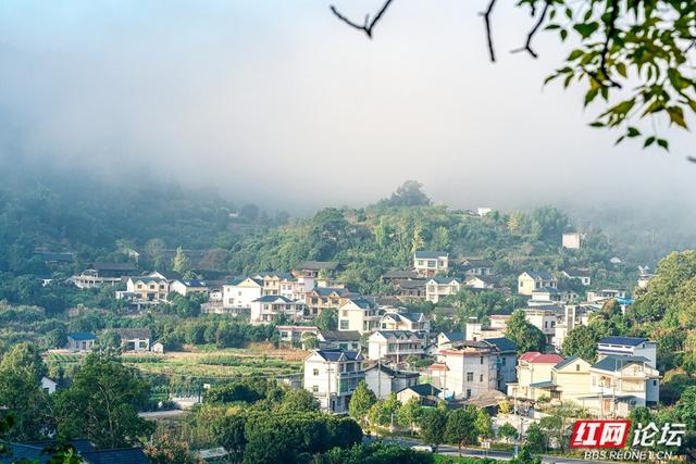 岁暖时刻丨雾锁湘西晨色里，一方秘境藏烟火