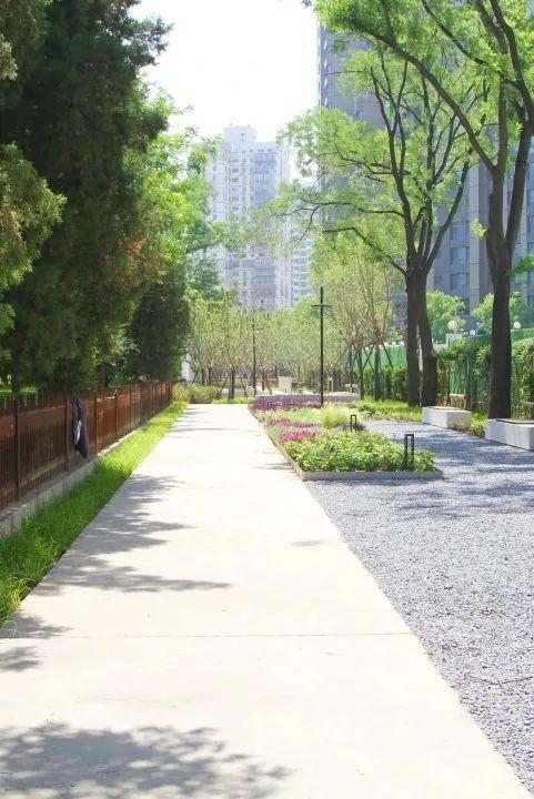 花园街区+坝河夜景！丽都颜值再升级，这样逛——