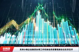 支持小微企业融资协调工作机制动员部署视频会议在京召开视频封面