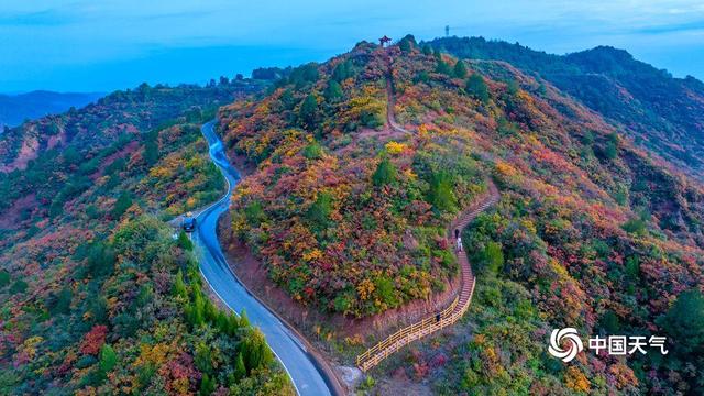 山西平陆秋色绚烂 大地上演斑斓盛宴