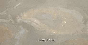 《中国国家地理》都点赞的夜市！不来湛江，你的美食地图怎能算完整