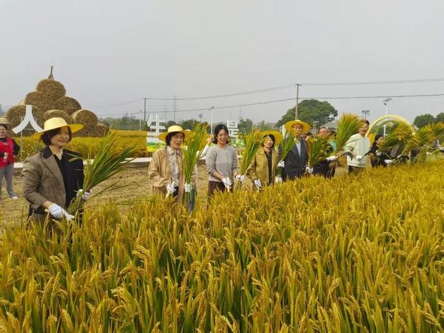 秋日限定，太仓这里超好玩！