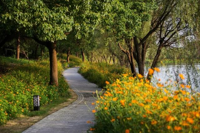 吃喝玩乐一条龙，就在金山这里→