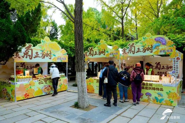 亮点纷呈 创新体验 第46届趵突泉金秋菊展即将点亮泉城秋色