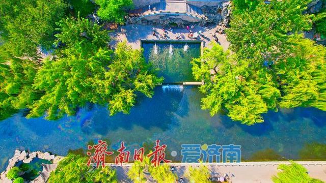 一年四季 泉在济南丨济南护城河水位显著上涨，迎来一年最佳观赏期