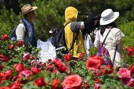 局地或超40℃，北方今年首场高温开启，西安今起或迎高温“四连击”！图片