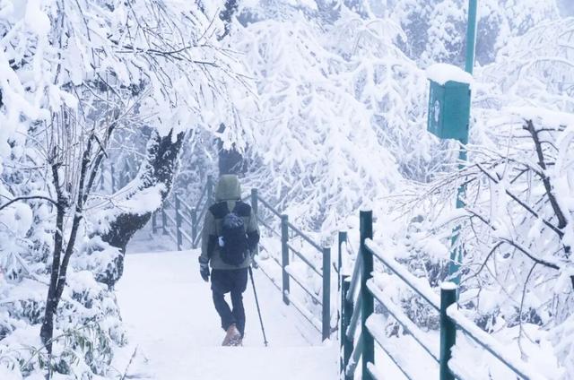 等雪来！瓦屋山绝望坡雪后挑战 UP + 趣味 UP，徒步党速冲！