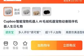 玩具也玩“大模型”：AI玩具爆火，毛绒玩具“活”到什么程度了？图片