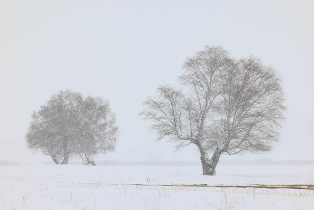 疆山如画丨雪花纷飞 那拉提披上银白盛装