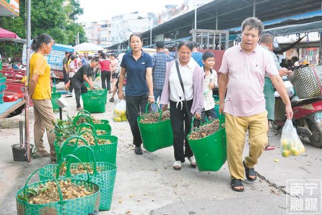 良庆逛吃指南：水果夜市、百年圩日、潮流街区…太好逛了吧！