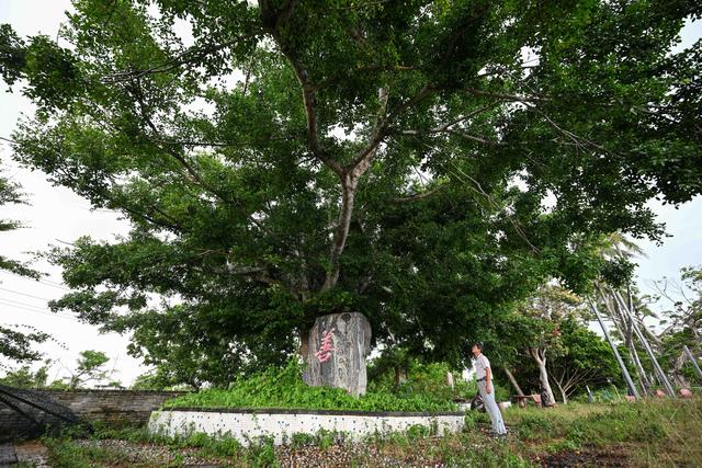 文化中国行·传统村落人文影像志｜海南加美村：贤士故里 诗意栖居