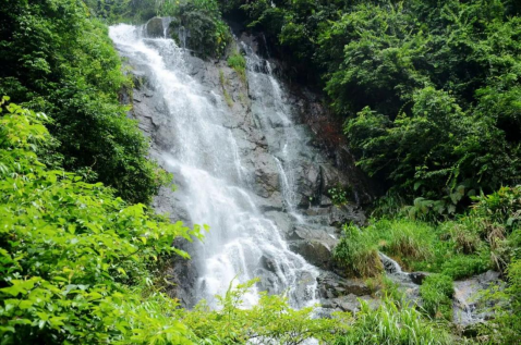 永春两天一夜漫游指南：探幽林、寻鹤拳、品醋香，解锁闽南低调“小桃源”！