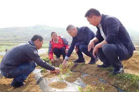 徐杰调研春耕备耕和森林防火工作图片