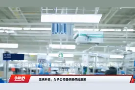 至纯科技：为子公司提供担保的进展视频封面