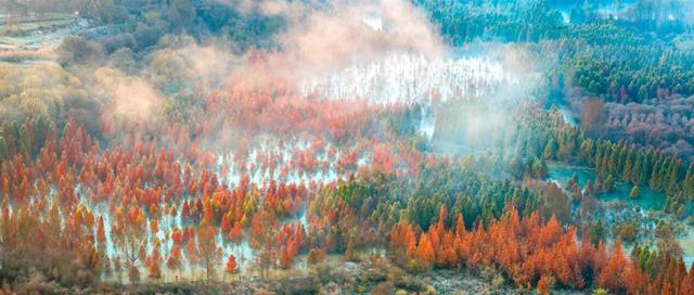 美成画了！许你一个五彩斑斓的冬天——有一种叫云南的生活之365天