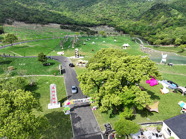 官方认定！舟山这3条线路，避暑、养生！
