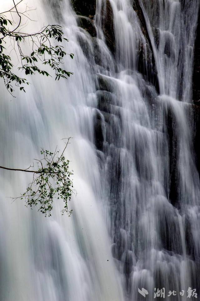 巴东金果坪：饮水水源地绘就生态画卷