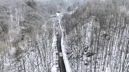 错过等一年！这个冬天，来嵩县“嗨皮”一圈！
