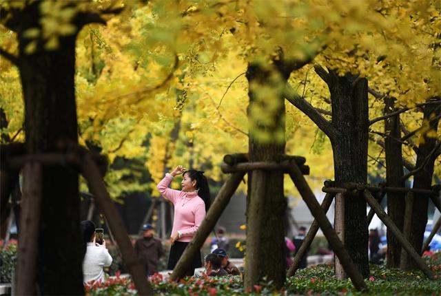 贵阳：初冬时节好风景