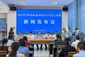 西双版纳全面推进知识产权强州建设见成效图片