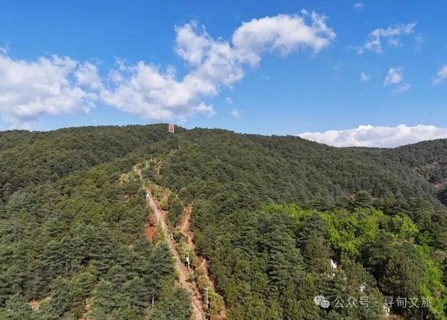 本地人力荐的半日宝藏打卡地！来寻甸自由“森”呼吸~