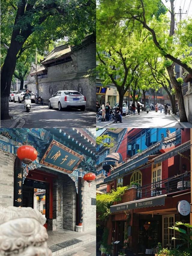 这几条林荫大道，藏着碑林动人的烟火与时光