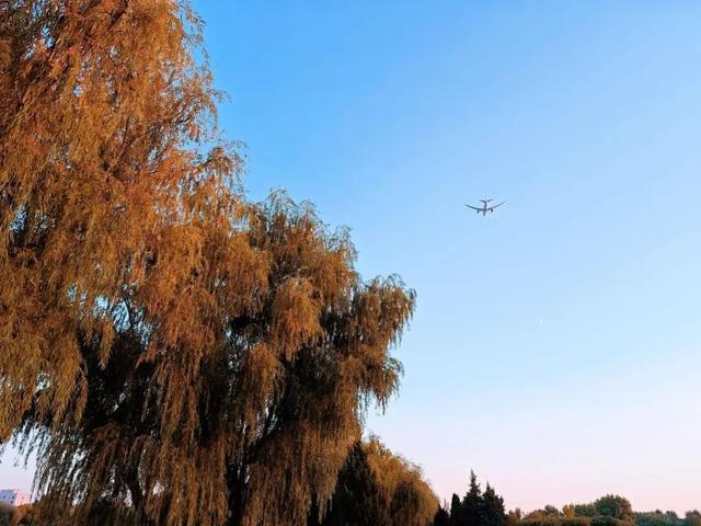 秋意正浓，邂逅浪漫！快来打卡“七站两场”地区的限定秋色