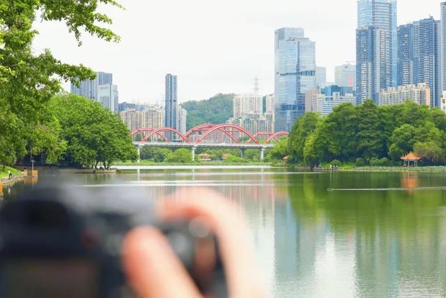 双园秘境在此！赴一场初秋的诗意漫游