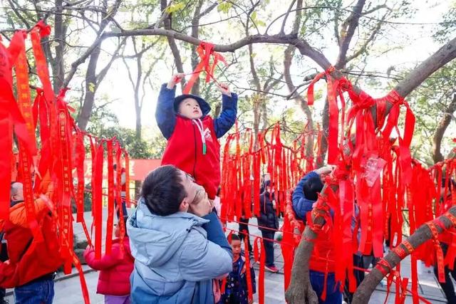 寻找佘山登高“最有故事的你”！二十载光阴，等待你续写篇章
