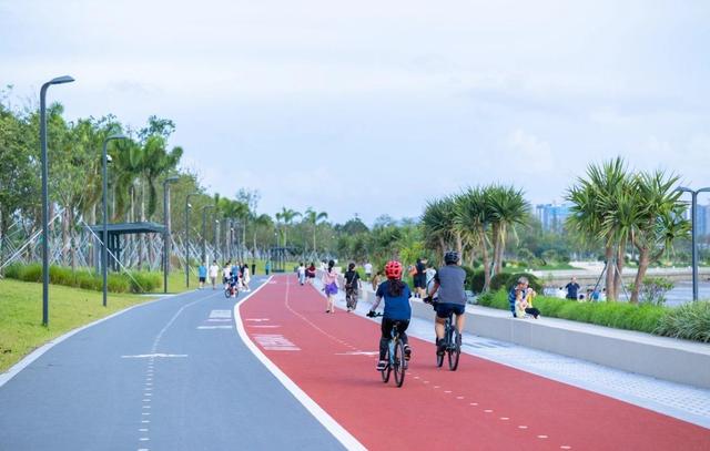 大湾区“绿道天花板”绝绝子！央视新闻也为东莞滨海湾“打call”