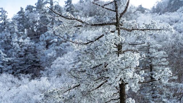 @南方小土豆！白云山免票福利来啦！邀你一起来看雪！