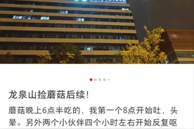 成都网友在龙泉山捡野菌吃进急诊，农业专家：采摘图鉴不靠谱图片